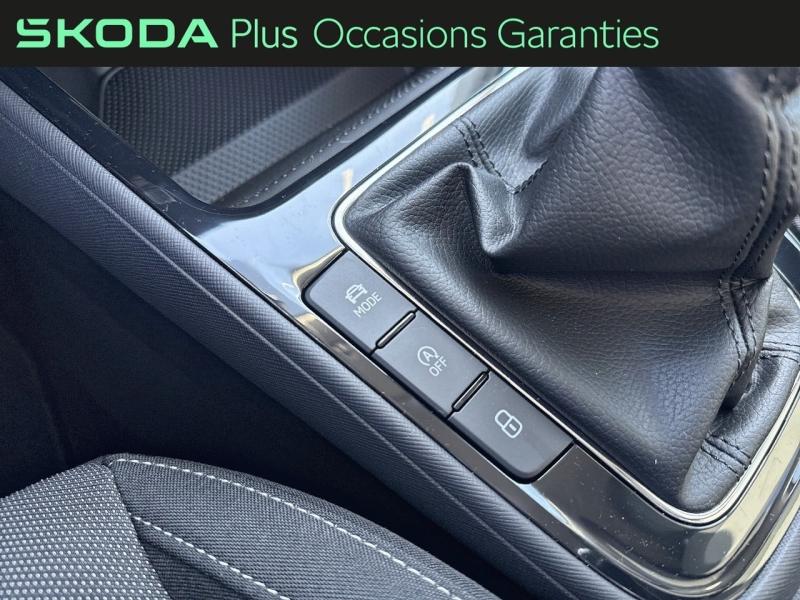 Voitures occasions ŠKODA FABIA Clever Edition Dechy