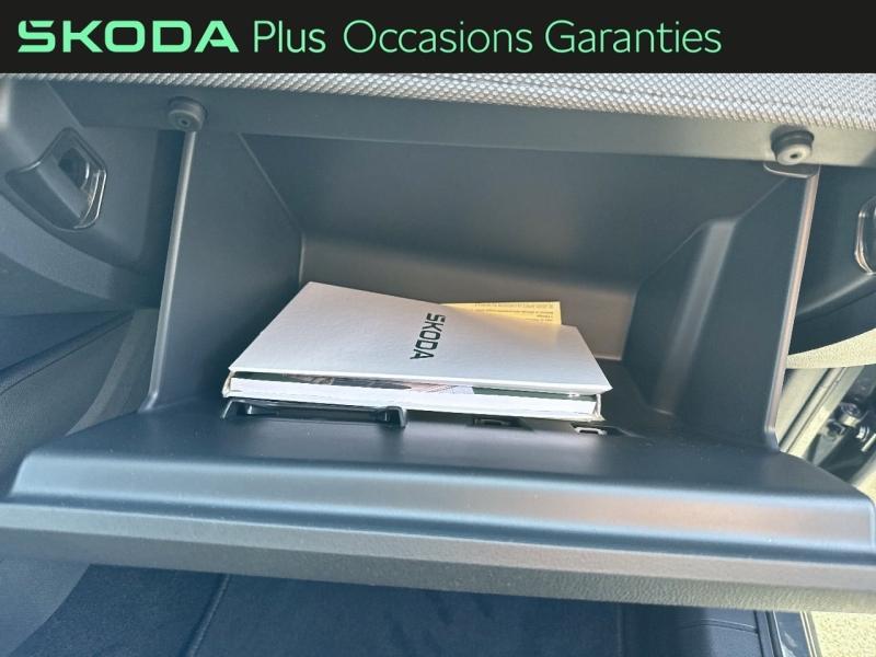 Voitures occasions ŠKODA FABIA Clever Edition Dechy