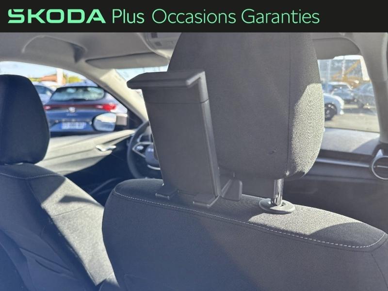 Voitures occasions ŠKODA FABIA Clever Edition Dechy