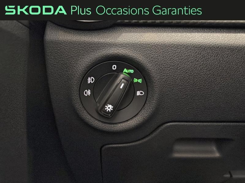Voitures occasions ŠKODA FABIA Monte Carlo Dechy