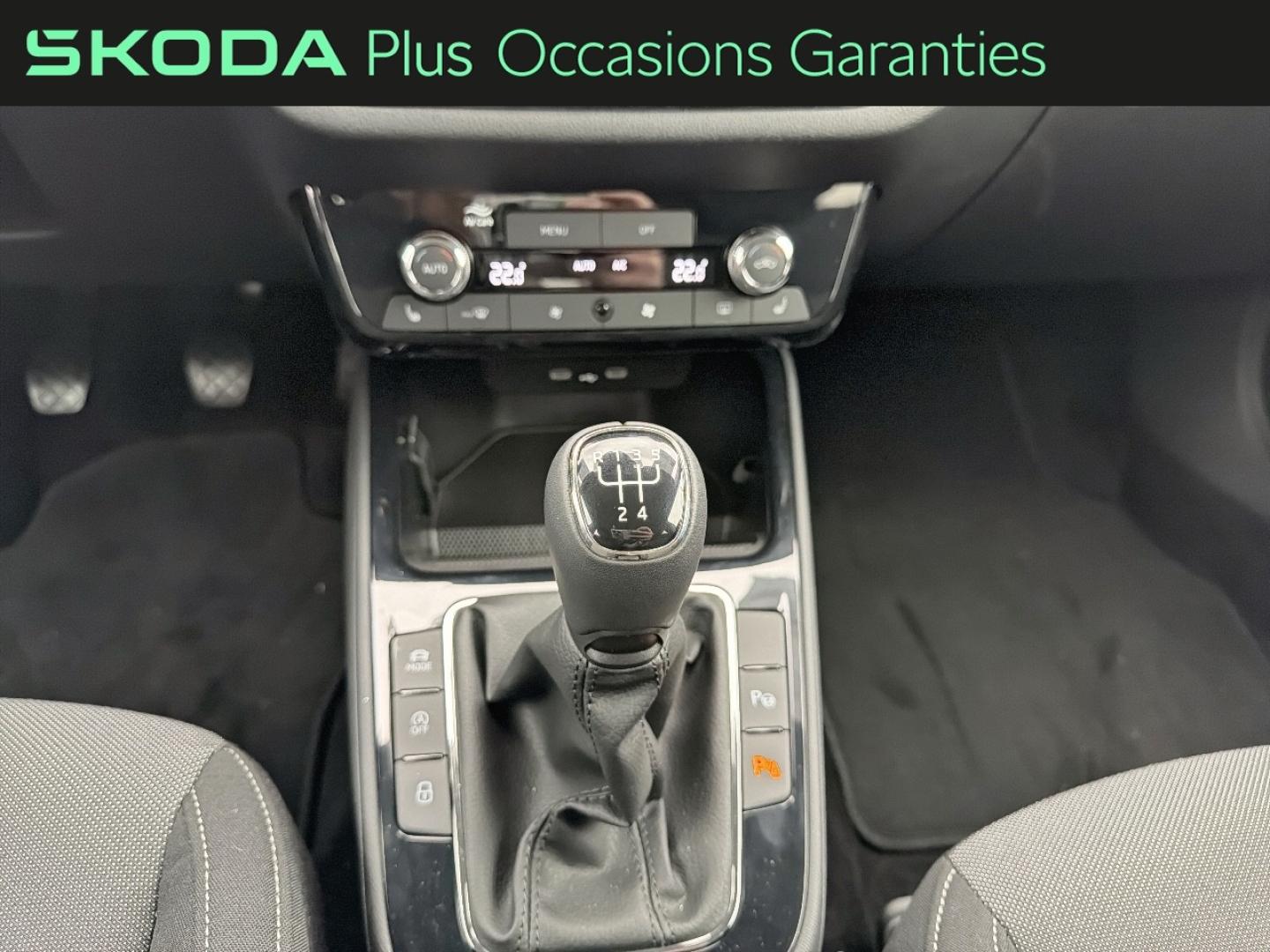 Voitures occasions ŠKODA FABIA Clever Edition Dechy