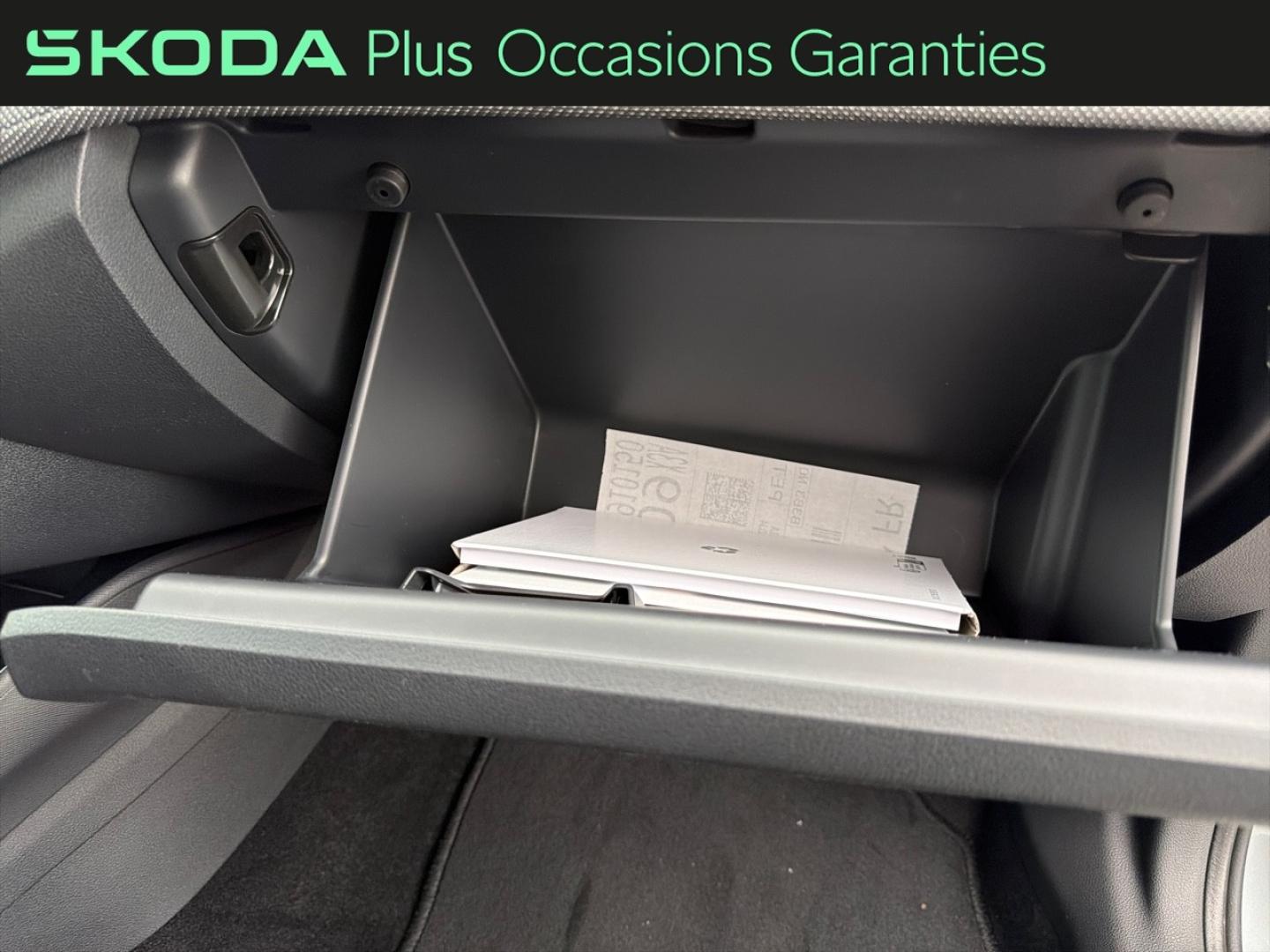 Voitures occasions ŠKODA FABIA Clever Edition Dechy