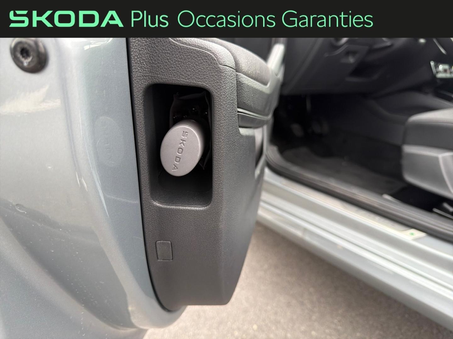 Voitures occasions ŠKODA FABIA Clever Edition Dechy