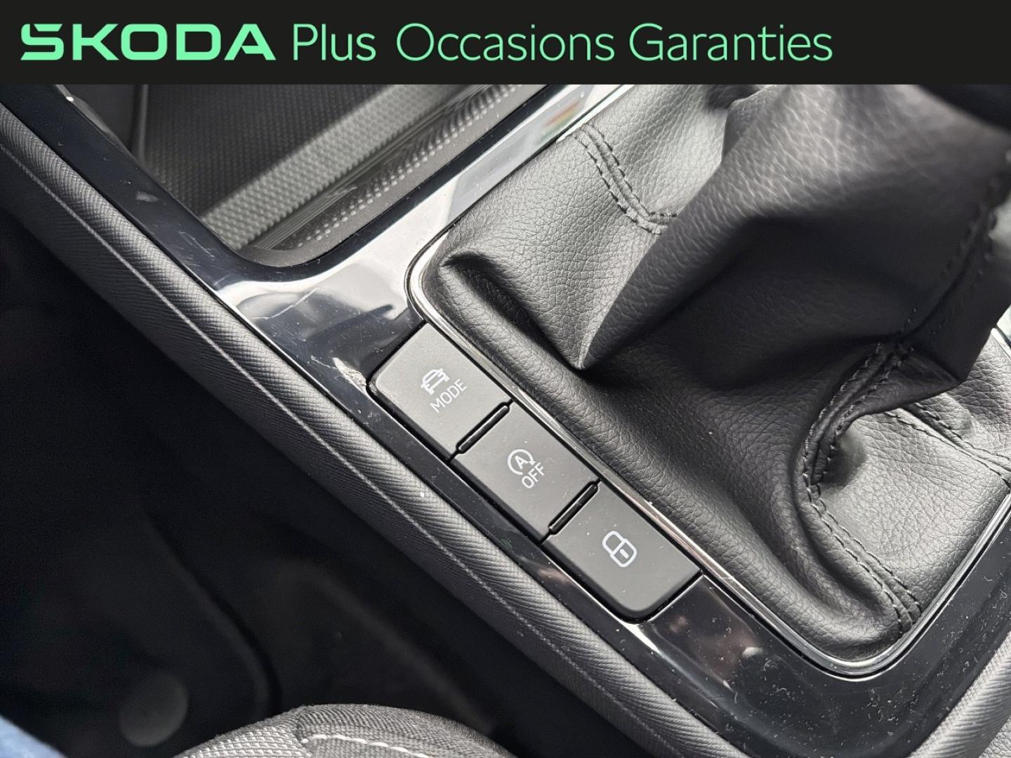 Voitures occasions ŠKODA FABIA Clever Edition Dechy
