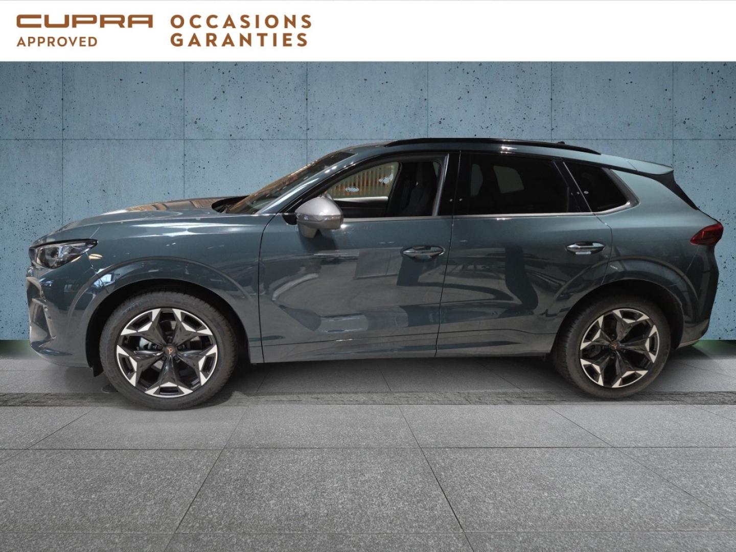 Voitures occasions CUPRA Terramar V Dechy