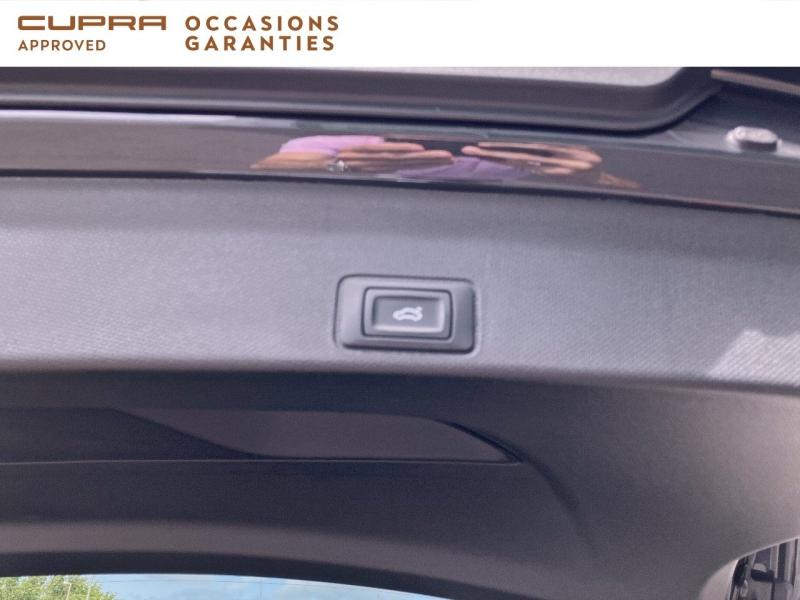 Voitures occasions CUPRA Terramar V Dunkerque