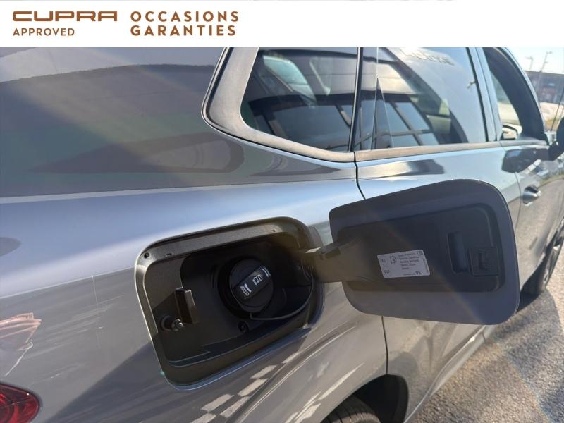 Voitures occasions CUPRA Terramar VZ Dunkerque