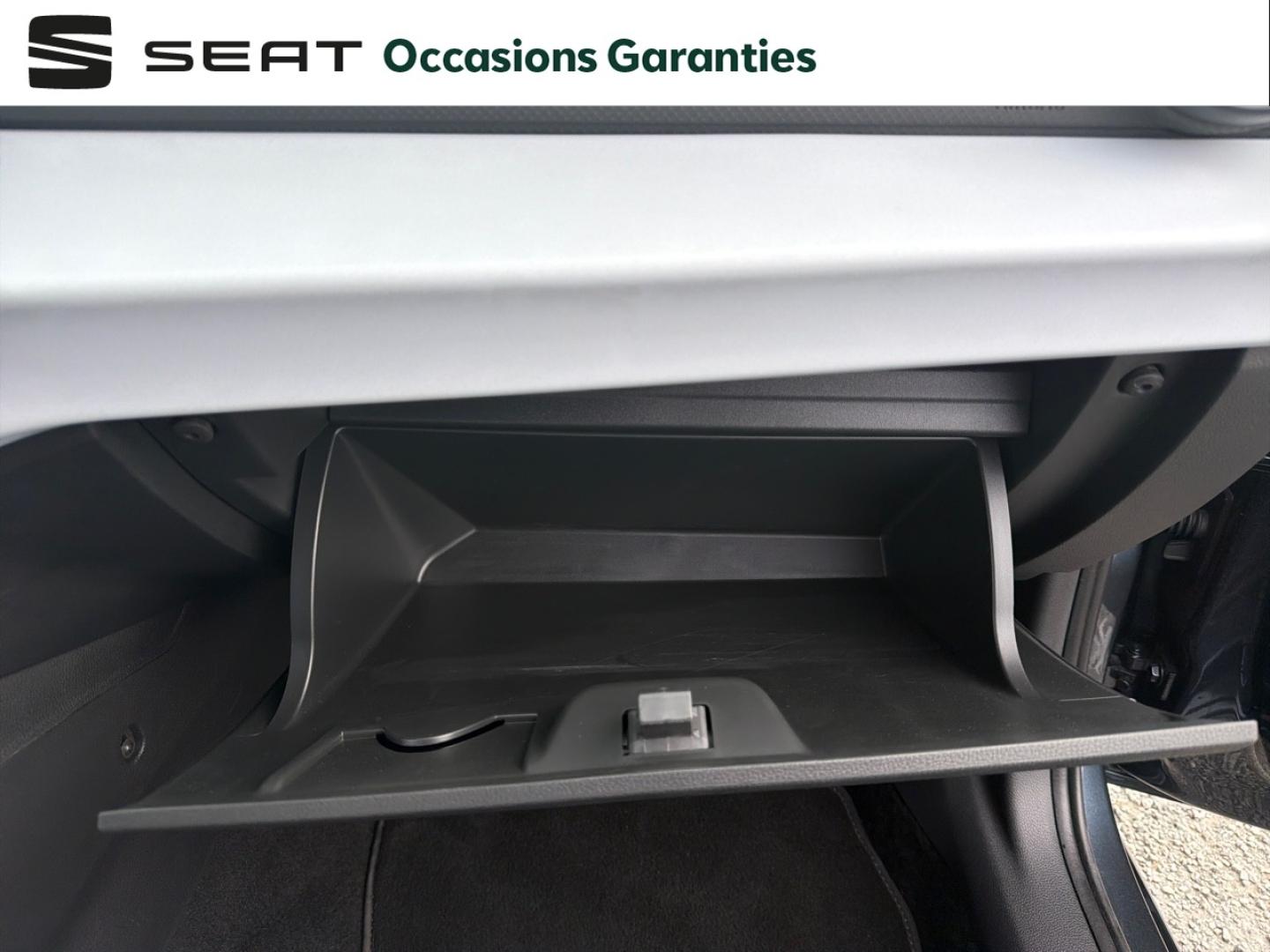 Voitures occasions SEAT IBIZA Copa Rivery