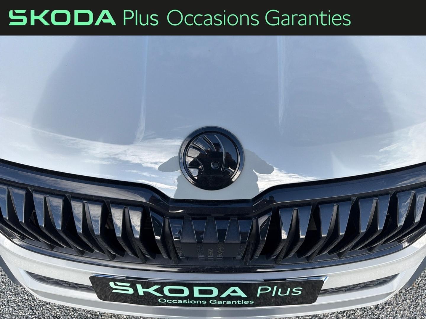 Voitures occasions ŠKODA KAROQ Sportline Dunkerque