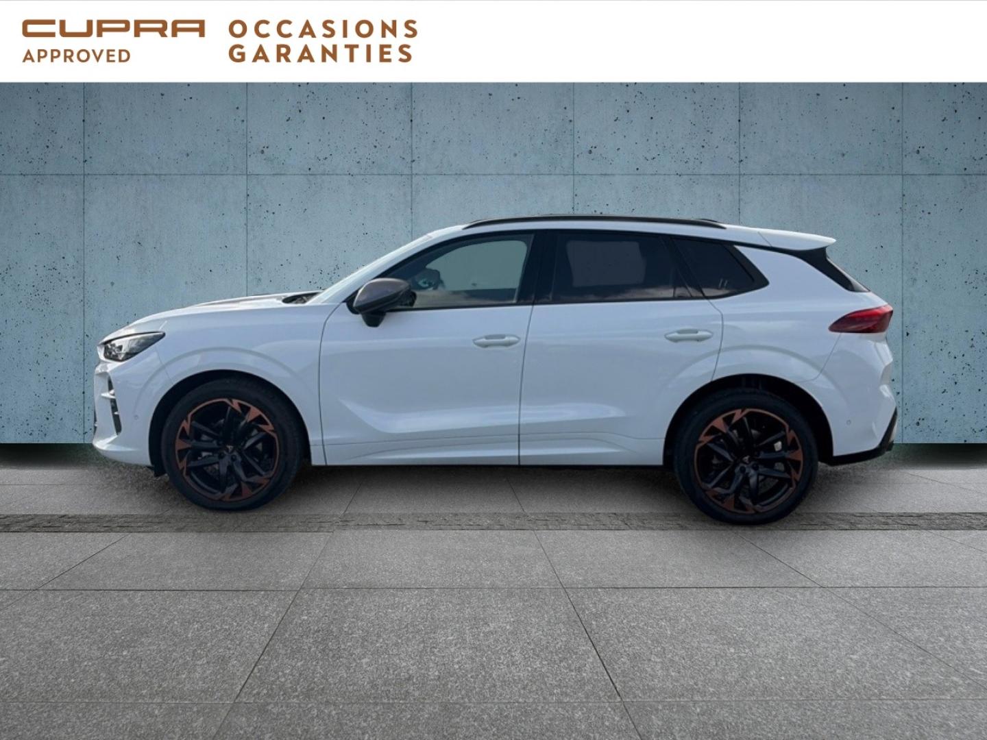 Voitures occasions CUPRA Terramar V Dunkerque