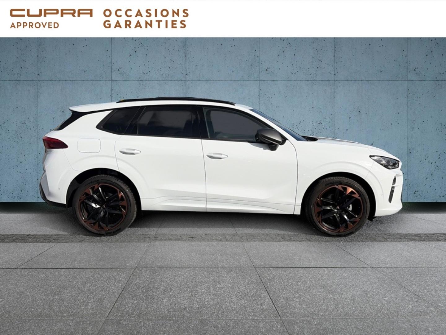Voitures occasions CUPRA Terramar V Dunkerque