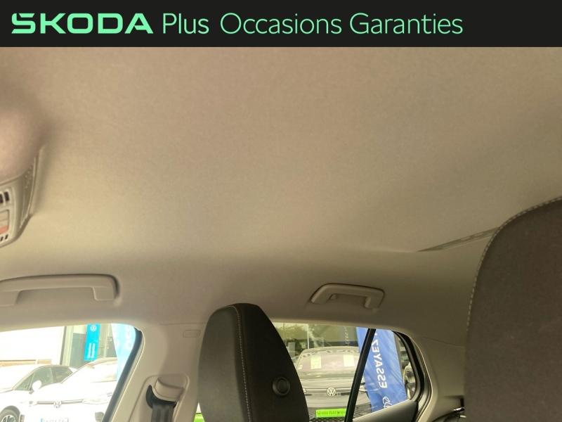 Voitures occasions ŠKODA FABIA Limited Edition Hazebrouck
