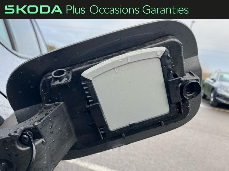 Voitures occasions ŠKODA OCTAVIA Sportline Hazebrouck