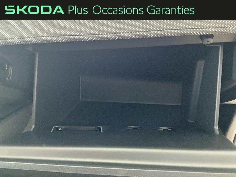 Voitures occasions ŠKODA FABIA Selection Lens