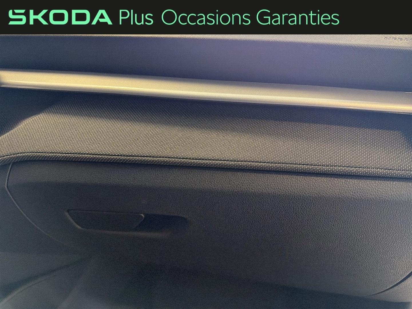 Voitures occasions ŠKODA FABIA Clever Edition Lens