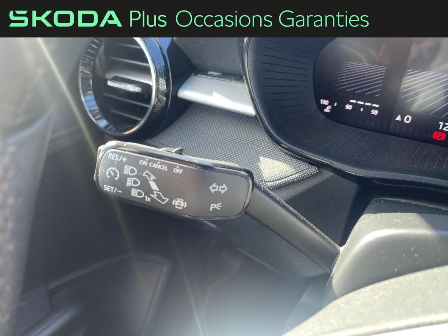 Voitures occasions ŠKODA FABIA Selection Lens