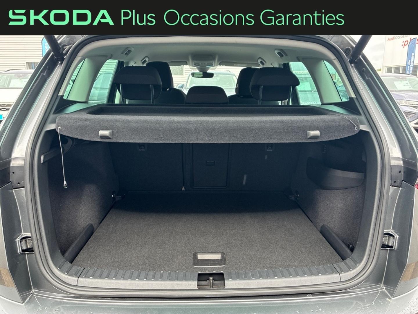 Voitures occasions ŠKODA KAROQ Selection Lens